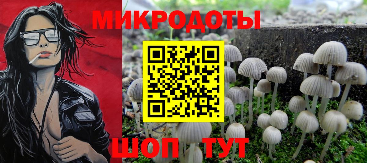 Псилоцибиновые грибы мухоморы  Псилоцибиновые грибы прущие грибы  Луга  Вход с VPN 
